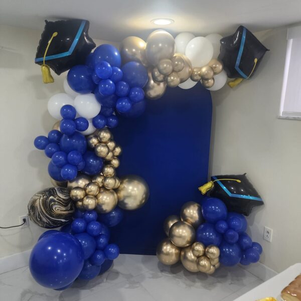 Professional Renal Institute